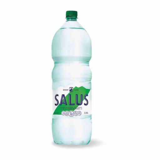 Agua Mineral Natural SALUS sin Gas 2.25L Pack x 6